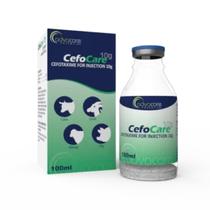Cefotaxime for Injection