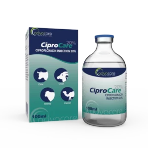 Ciprofloxacin Injection
