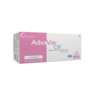 Classical Swine Fever (CSF) Vaccine