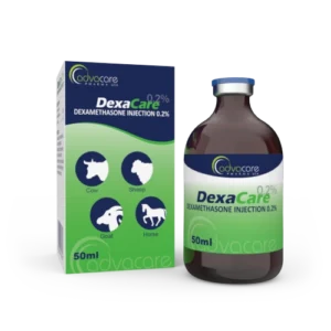 Dexamethasone Injection