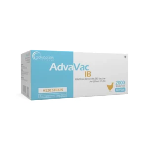 Infectious Bronchitis (IB) Vaccine