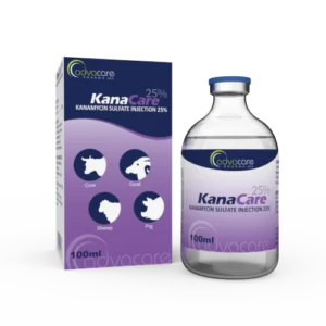 Kanamycin Sulfate Injection