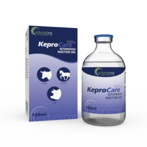 Ketoprofen Injection