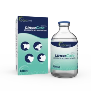 Lincomycin HCl Injection