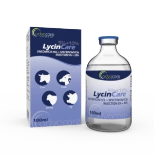 Lincomycin HCl + Spectinomycin Injection