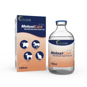 Meloxicam Injection
