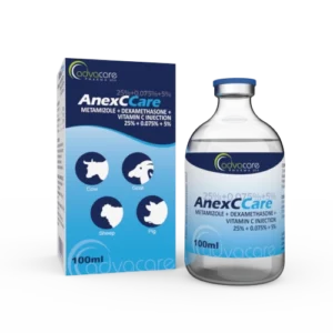 Metamizole + Dexamethasone + Vitamin C Injection