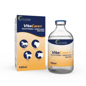 Multivitamin + Amino Acids Injection