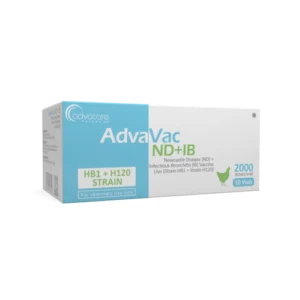 Newcastle Disease (ND) + Infectious Bronchitis (IB) Vaccine